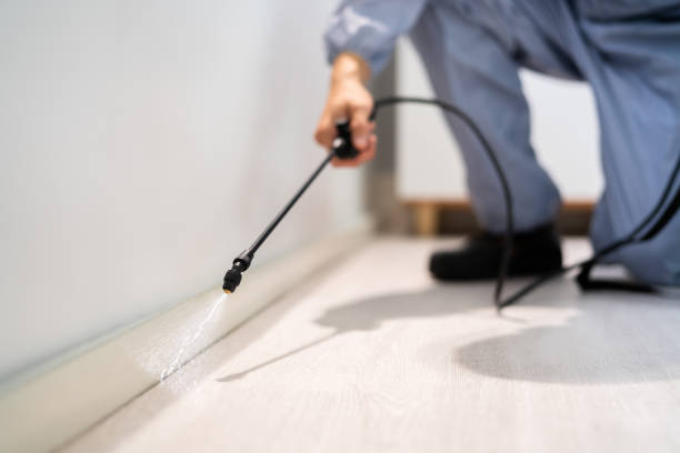 Professional exterminator conducting IPM assessment in Crisfield